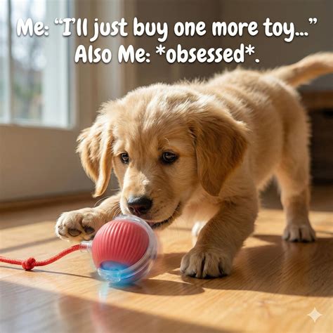 PawRoller™ – The Ultimate Auto-Moving Chase Ball for Cats & Dogs ...