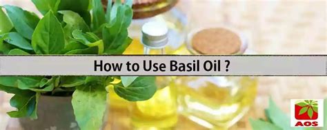 Basil Oil: How to Use it in Cold, Flu, and More | AOS Blog
