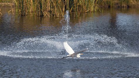 Charles Sturt Sustainability grants to benefit society and the ...