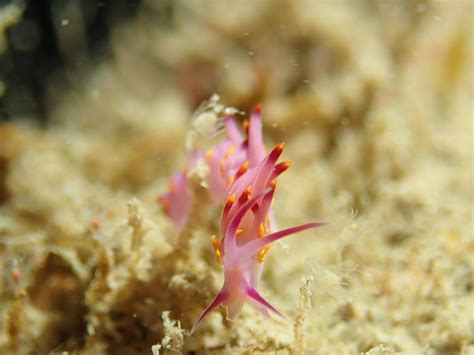 DIVING DOJO Guide (2026) All You Need to Know BEFORE You Go (with Photos)