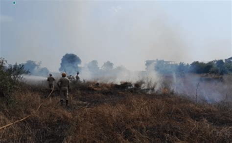 Annual Fire Outbreak Near Arambol Petrol Pump Sparks Arson Suspicions ...