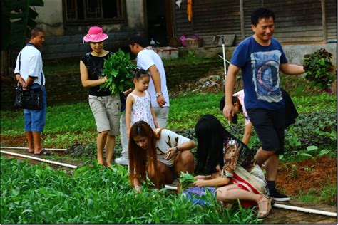 周末假日乐水山庄深圳农家乐为什么那么多人喜欢来玩
