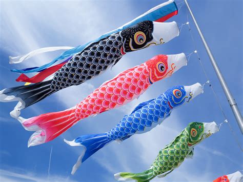 Childhood Traditions: Exploring Boys' Day in Japan - LEVEL