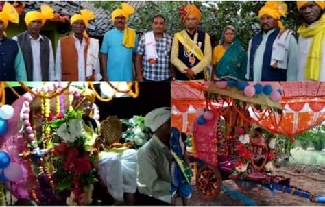 Betul: Tribal MBBS doctor takes out ‘barat’ on bullock cart to promote ...