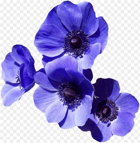 Image result for Working Computer Screen
