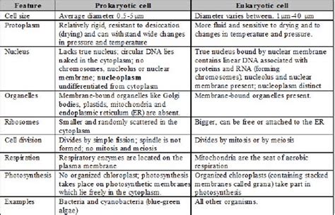 The Fundamental Unit of Life Class 9 Notes Science Chapter 5 Free PDF