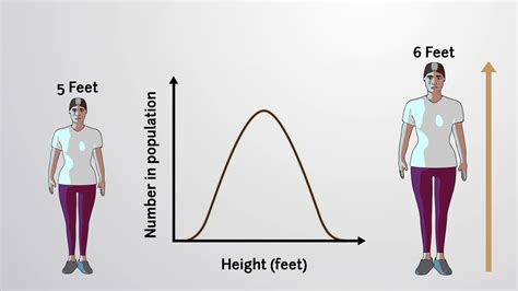 Polygenic Traits: Definition and Human Height | Biology | Video