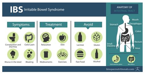 What Is Mixed Ibs at Alexandra Hellyer blog