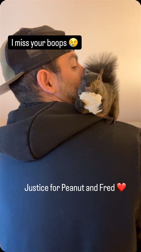 Mark Longo (@squirrel_dad_12) • Instagram photos and videos