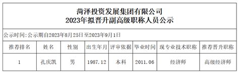 菏泽投资发展集团有限公司2023年拟晋升副高级职称人员公示 - 通知公告 - 菏泽投资发展集团有限公司