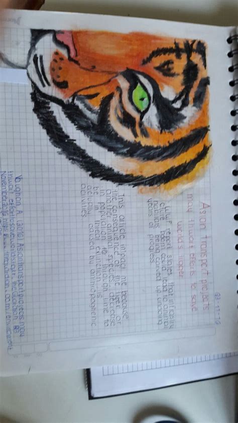 Image result for Interactive Notebook Ideas