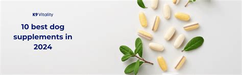 10 Best Dog Supplements in India (2026 Guide) – K9 Vitality