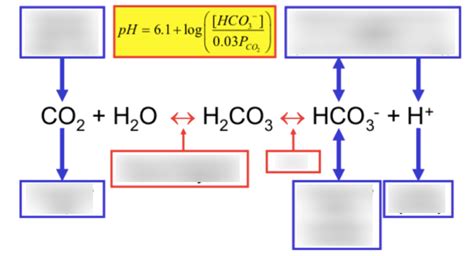 Using the Botoca Buffer System 的图像结果