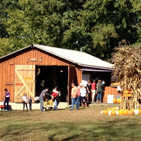 Review of Shady Lane Farms Pumpkin Patch in Shepherdsville, KY ...