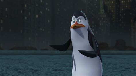 Kowalski | Pinguinos de madagascar, Pinguinos, Pingüinos