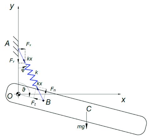 Image result for Forces On a Spring