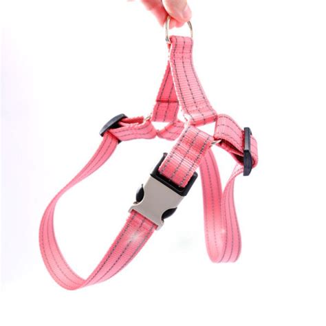 Holy Paws Plush Harness for Dogs (Assorted Colours) – MyPetPoint