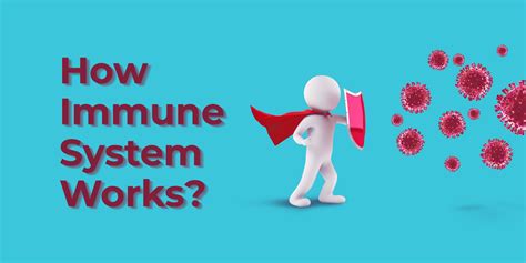 How Immune System Works? - Total Ayurveda - Ayurvedic Clinic - Ayurvedic Medical Store