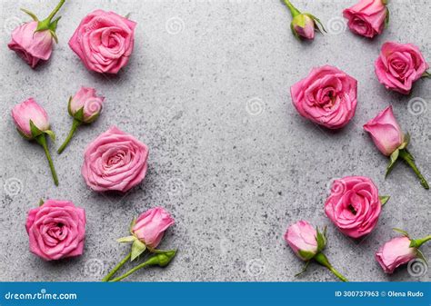 Pink Roses on Concrete Background Stock Image - Image of blossom ...