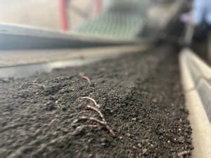 Commercial Worm Production 的图像结果