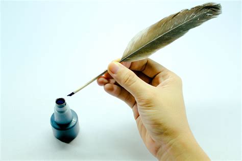How to Make a Quill Pen out of a Feather: 9 Steps (with Pictures ...