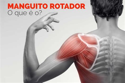 Função Do Manguito Rotador - RETOEDU