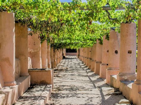 MONTEROSA OLIVE OIL FARM (2026) All You Need to Know BEFORE You Go ...