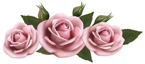 Transparent Pink Flower Clipart Png Image