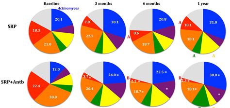 Pie charts describing the mean proportions of microbial