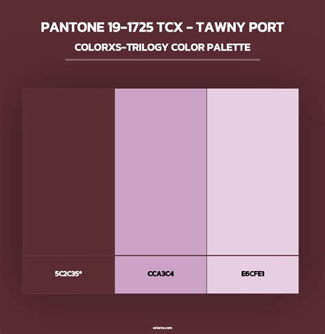 PANTONE 19-1725 TCX - Tawny Port color palettes - colorxs.com
