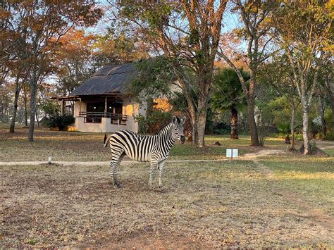 BUSHMAN ROCK (Harare) - Guesthouse Reviews, Photos, Rate Comparison ...