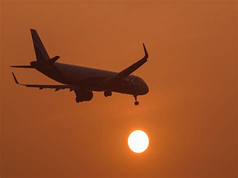 Etihad Airways resumes limited flights from Abu Dhabi