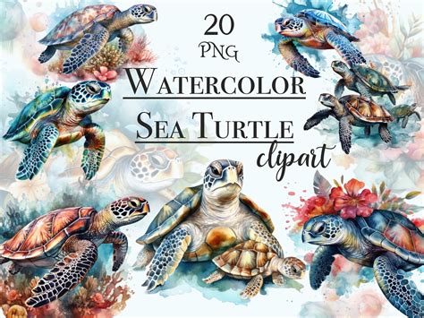 Watercolor Sea Turtle Clipart Graphic by FantasyDreamWorld · Creative ...