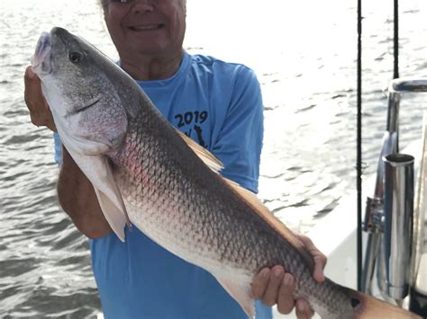 EVERGLADES FISHING CHARTERS (2026) All You Need to Know BEFORE You Go ...