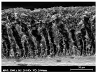 Wetting-Based Comparison of Ag, Carbon Black, and MoS2 Composite ...