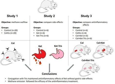 Conjugation with Tris Decreases the Risk of Ketoprofen-Induced Mucosal ...