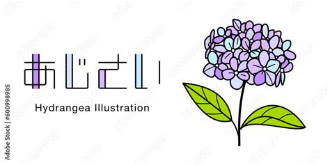 Image result for Computer Practical File.pdf