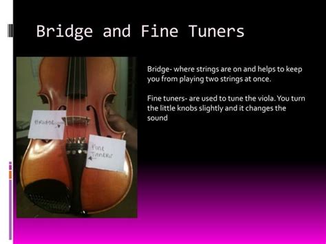 Image result for Viola Tutorial