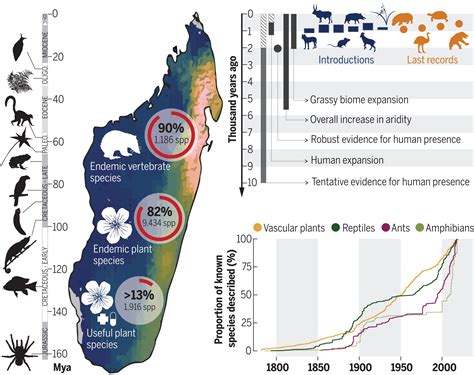 Madagascar’s extraordinary biodiversity: Evolution, distribution, and use | Science