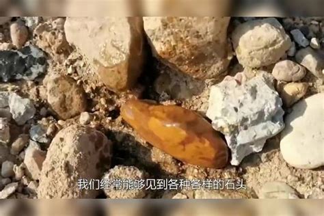 男子捡了一块“石头”，竟价值2100万元！_澎湃号·媒体_澎湃新闻-The Paper