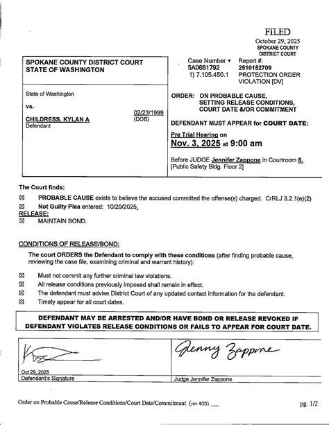 Spokane County Court Viewer