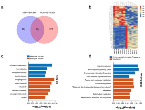 Key Cannabis Salt-Responsive Genes and Pathways Revealed by Comparative ...