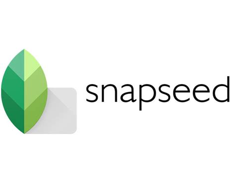 Image result for Snapseed for Computer