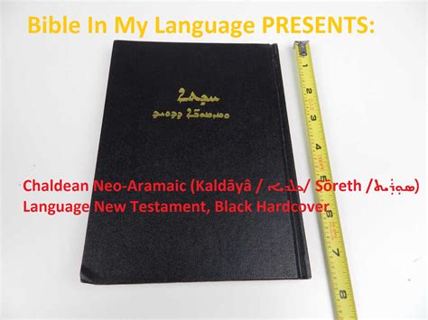 Introducing the Chaldean Neo-Aramaic Language New Testament, Black ...