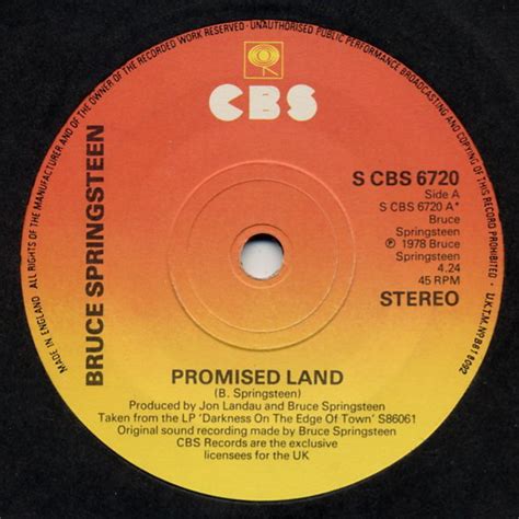 Image result for Promised Land Springsteen Tribute Band