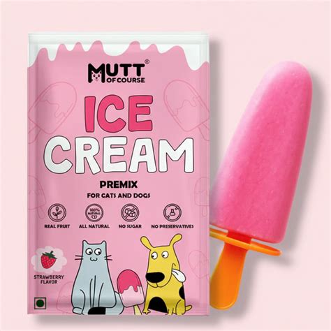 Strawberry Ice Cream for Cats & Dogs - Premix (Pet Nutritionist Approv ...