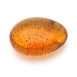 Samora Minerals and Amber Co | eBay Stores