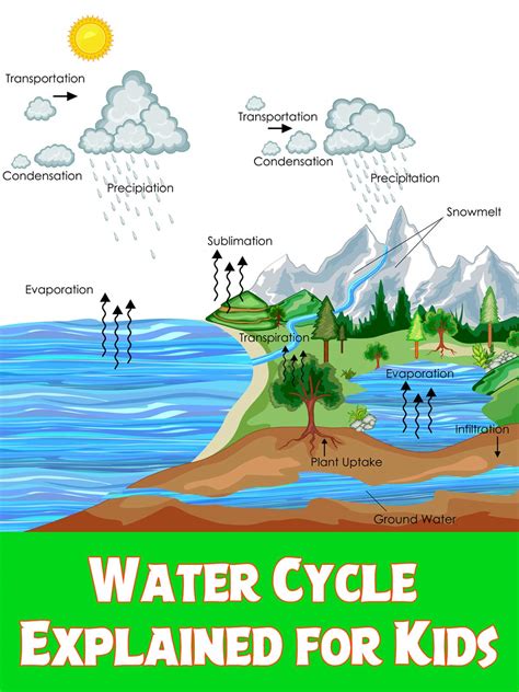 Buy Water Cycle Explained for Kids Online at desertcartINDIA