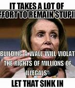Image result for Pelosi Meme Right to Protest