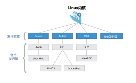 如何选择Linux操作系统版本?-如何选择linux操作系统版本